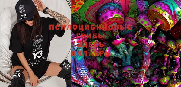 шишки Касимов
