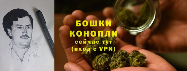шишки Касимов