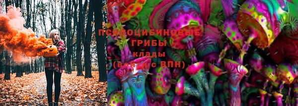 мескалин Карпинск