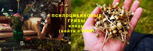 шишки Касимов