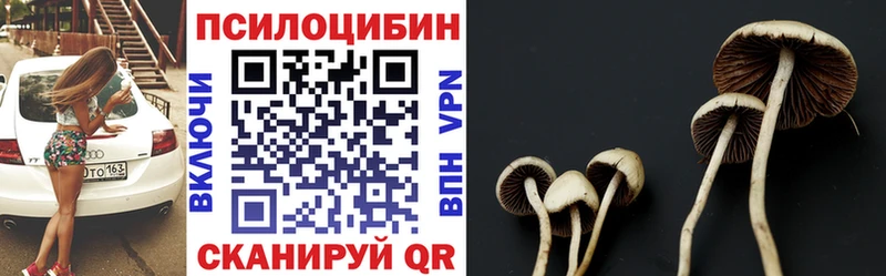 kraken рабочий сайт  Улан-Удэ  Псилоцибиновые грибы Cubensis  наркошоп 