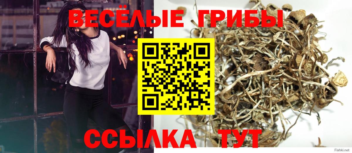 Улан-Удэ  Псилоцибиновые грибы мицелий  Вход с VPN  Псилоцибиновые грибы MAGIC MUSHROOMS 